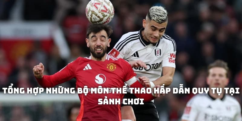 Tổng hợp những bộ môn thể thao hấp dẫn quy tụ tại sảnh chơi