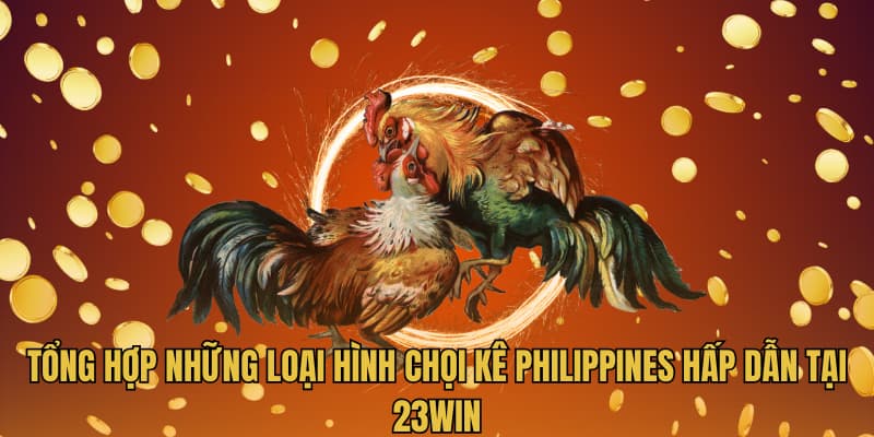 Tổng hợp những loại hình chọi kê Philippines hấp dẫn tại 23WIN