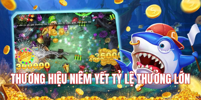 Thương hiệu niêm yết tỷ lệ thưởng lớn