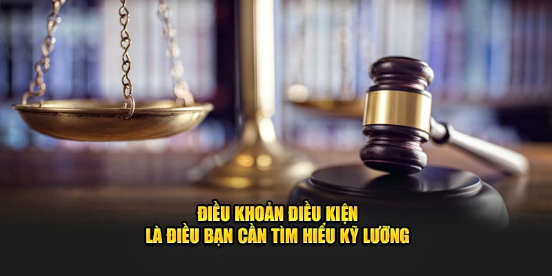 Điều khoản điều kiện là điều bạn cần tìm hiểu kỹ lưỡng