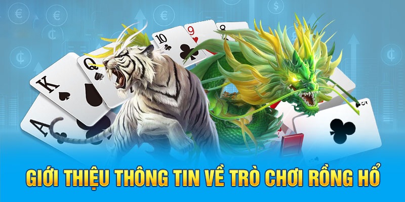 Rồng hổ 23WIN - Tựa game đang được nhiều hội viên yêu thích nhất