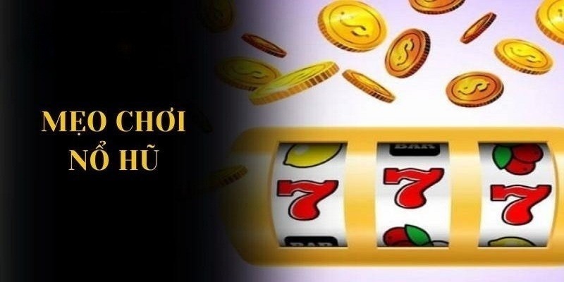 Hội viên có thể áp dụng thêm những chiến thuật