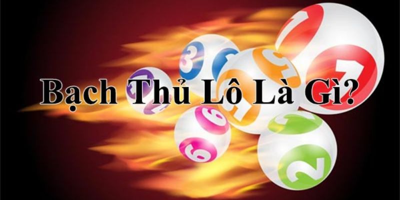 Tìm hiểu bạch thủ lô là gì tại nhà cái 23win