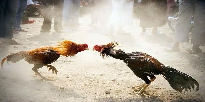 Một số lợi ích quan trọng cần biết đến khi tham gia